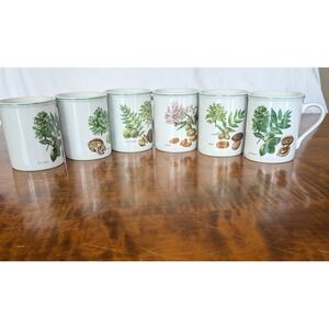 Vintage English Coffee Tea Mugs Set of 6 Tree Nuts